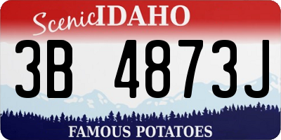 ID license plate 3B4873J