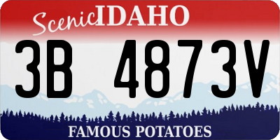 ID license plate 3B4873V
