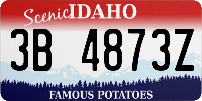 ID license plate 3B4873Z