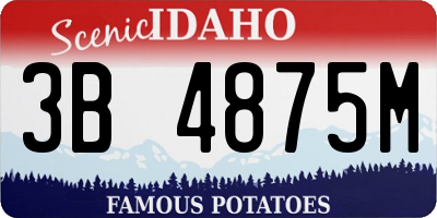 ID license plate 3B4875M