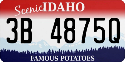 ID license plate 3B4875Q