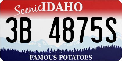 ID license plate 3B4875S