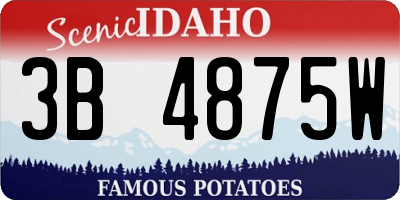 ID license plate 3B4875W