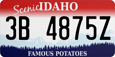 ID license plate 3B4875Z