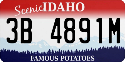 ID license plate 3B4891M