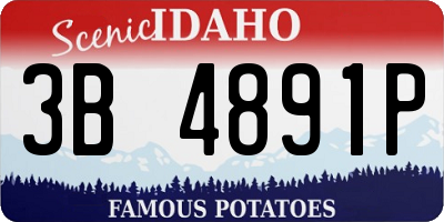 ID license plate 3B4891P