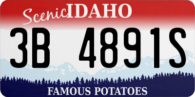 ID license plate 3B4891S