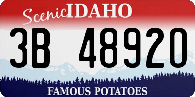 ID license plate 3B4892O