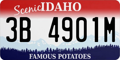 ID license plate 3B4901M