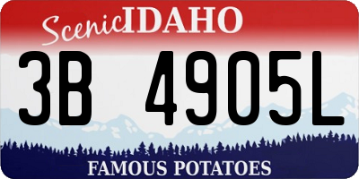 ID license plate 3B4905L