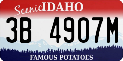 ID license plate 3B4907M