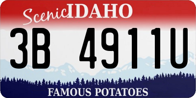 ID license plate 3B4911U