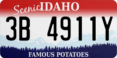 ID license plate 3B4911Y