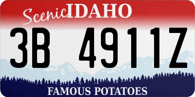ID license plate 3B4911Z