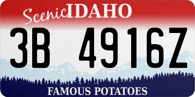 ID license plate 3B4916Z