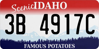 ID license plate 3B4917C