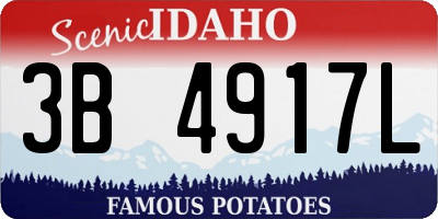 ID license plate 3B4917L