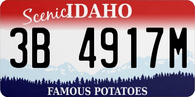 ID license plate 3B4917M