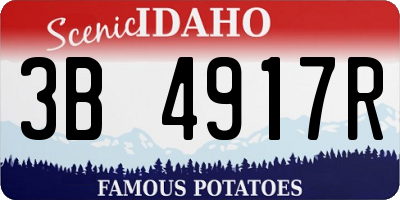 ID license plate 3B4917R