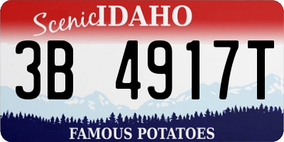 ID license plate 3B4917T