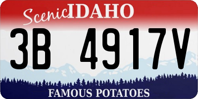 ID license plate 3B4917V