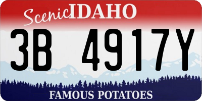 ID license plate 3B4917Y