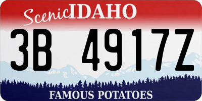 ID license plate 3B4917Z