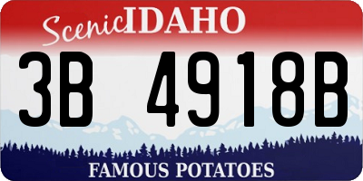 ID license plate 3B4918B
