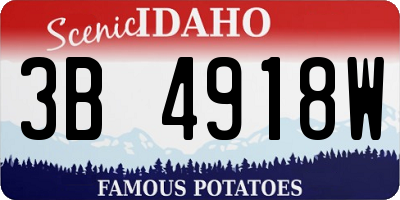 ID license plate 3B4918W