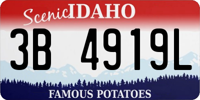 ID license plate 3B4919L