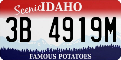ID license plate 3B4919M