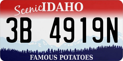 ID license plate 3B4919N