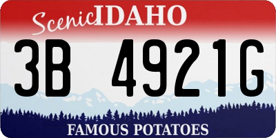 ID license plate 3B4921G