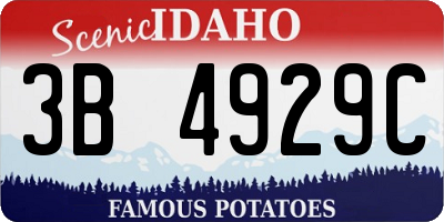 ID license plate 3B4929C