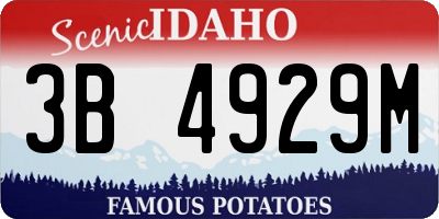 ID license plate 3B4929M