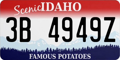 ID license plate 3B4949Z