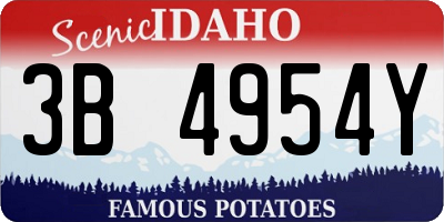 ID license plate 3B4954Y