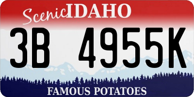 ID license plate 3B4955K