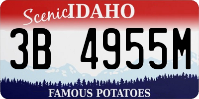 ID license plate 3B4955M