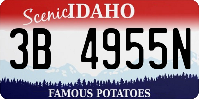 ID license plate 3B4955N