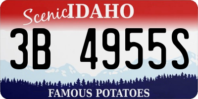 ID license plate 3B4955S