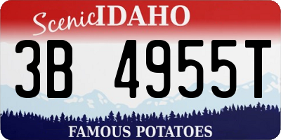 ID license plate 3B4955T
