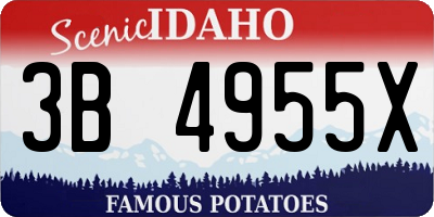 ID license plate 3B4955X
