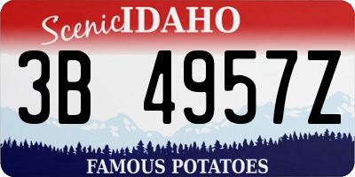 ID license plate 3B4957Z