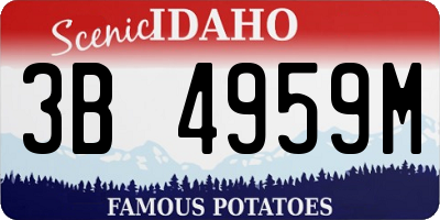 ID license plate 3B4959M