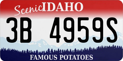 ID license plate 3B4959S
