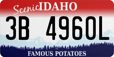 ID license plate 3B4960L