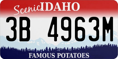 ID license plate 3B4963M