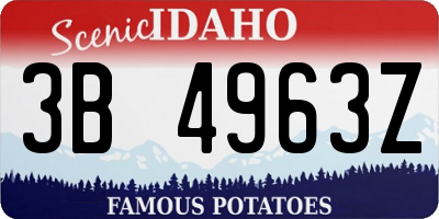 ID license plate 3B4963Z