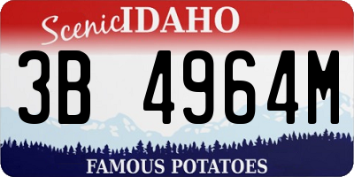 ID license plate 3B4964M